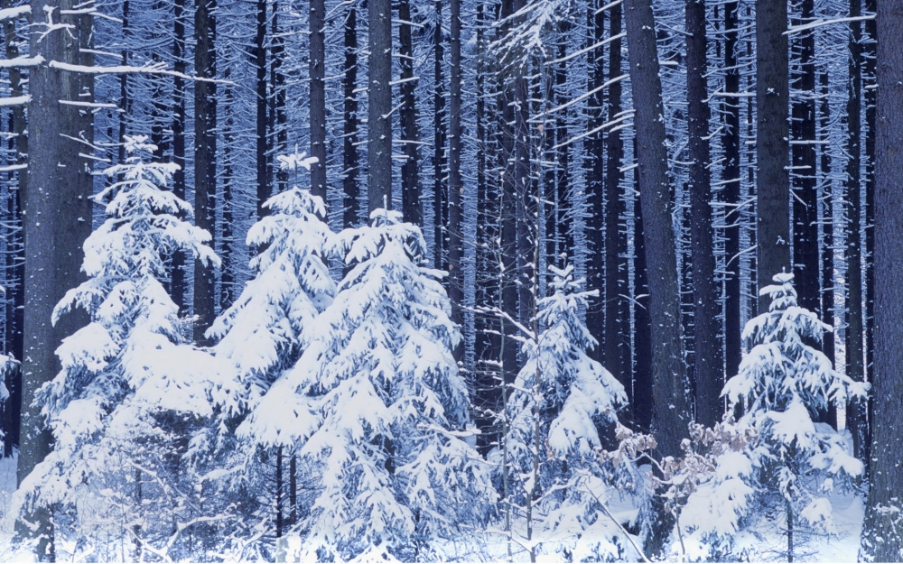 宽屏雪景 第一辑