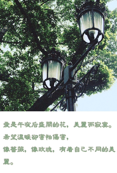 要的只是一个拥抱而已