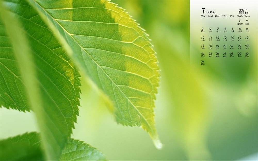 2017年7月护眼叶子风景日历壁纸