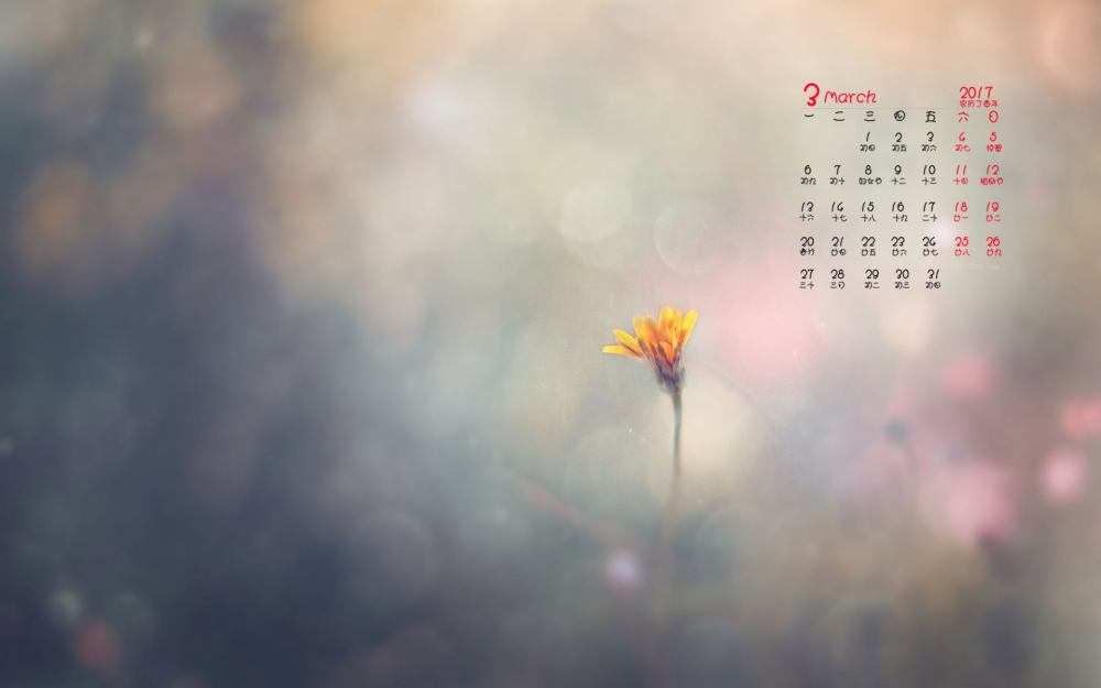 2017年3月唯美简约花朵日历壁纸