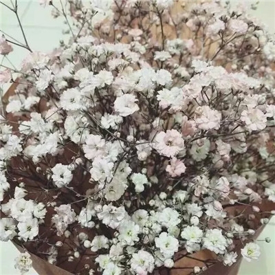 等，思念蔓成永恒