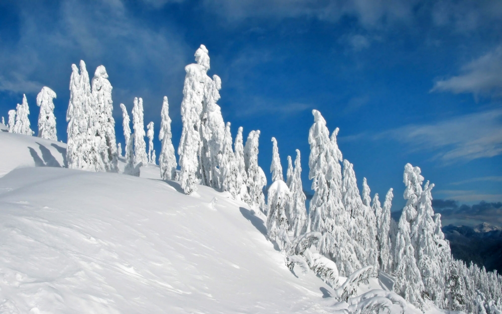 宽屏雪景 第一辑
