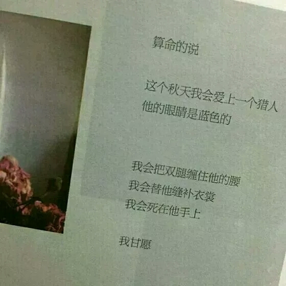 相逢太短不必等茶水凉