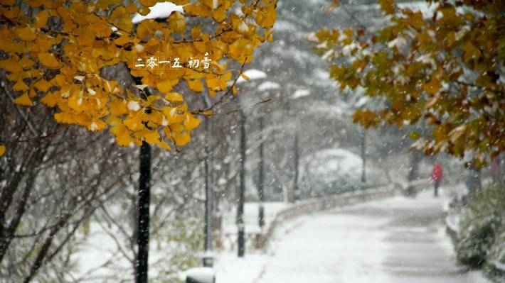 2015杭州西湖初雪摄影电脑壁纸