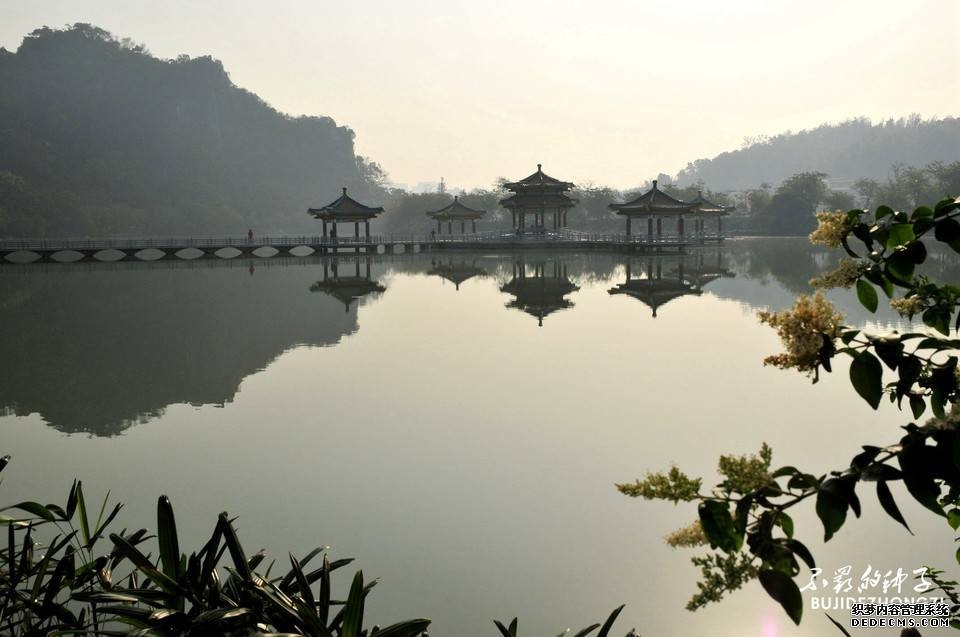 风景花园 绿色花园风景图片