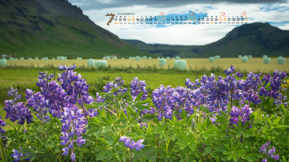 2015年7月日历壁纸精选绿色护眼的大自然风景特写图片