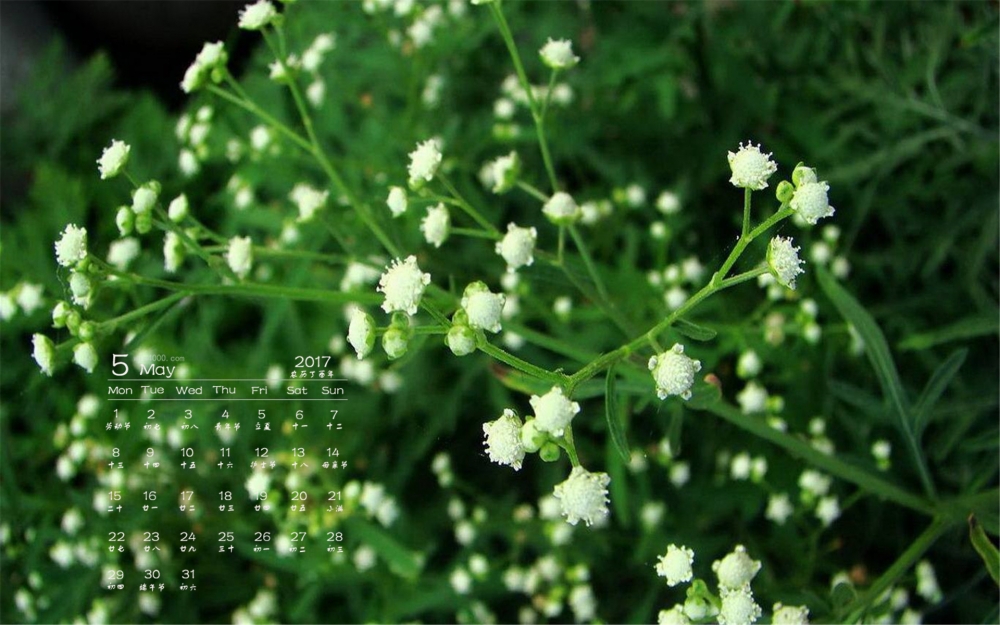 2017年5月唯美满天星桌面日历壁纸