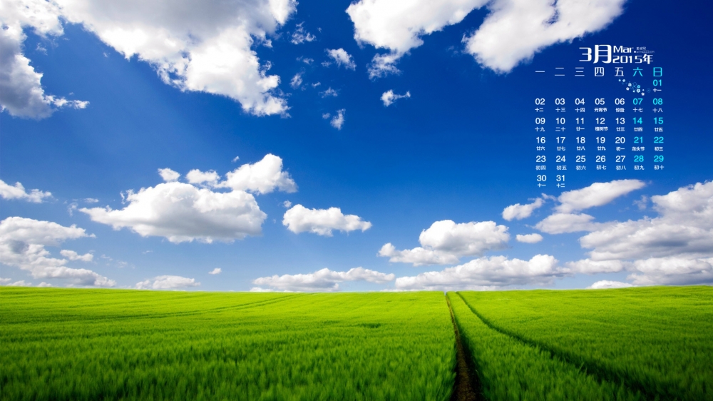 2015年3月日历壁纸清新的草地天空绿色护眼风景桌面背景图片下载