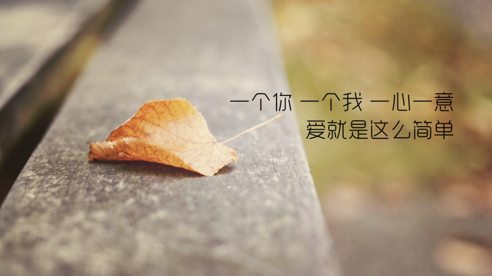 浪漫爱情箴言高清桌面壁纸