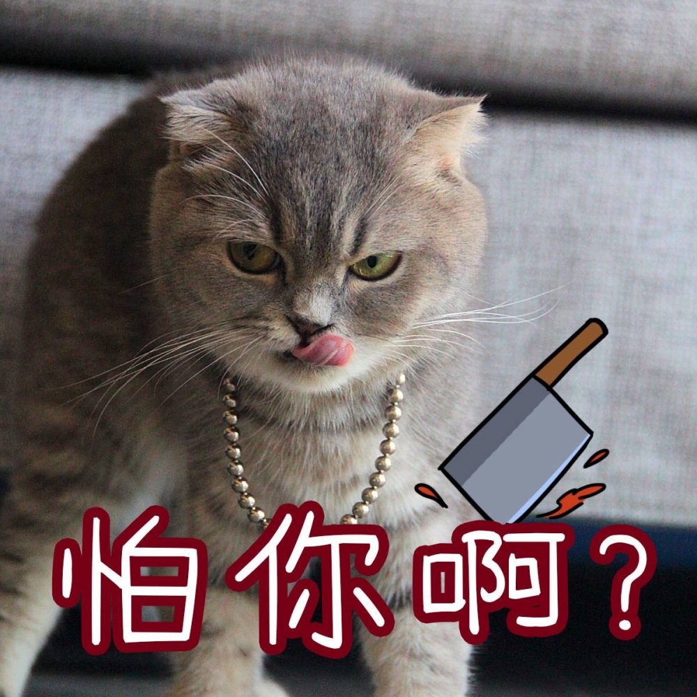 关于仲裁这场闹剧，想说的都在表情包里……
