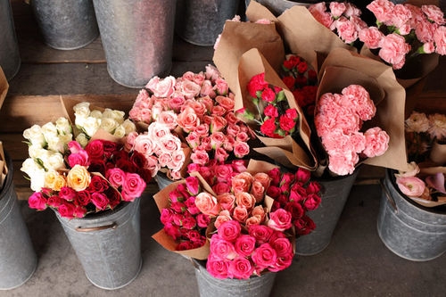 艳红色大玫瑰鲜花图片 七夕情人最好的礼物