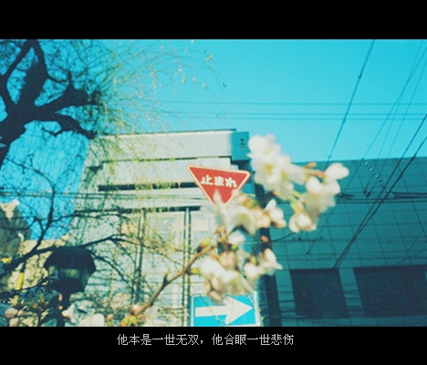 唯美意境带字黑底字幕的意境图片