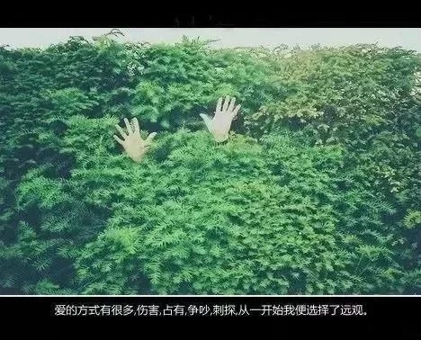 不顾一切的坚守，也许就是真爱