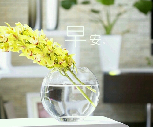 早安文字图片_向自己说一声早安