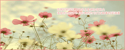 沉默并不代表我不懂得说爱你