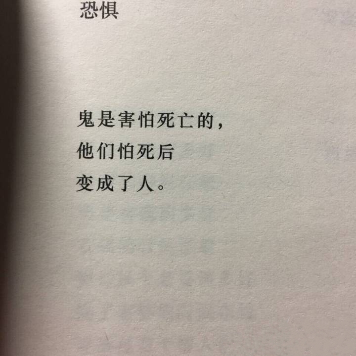 相逢太短不必等茶水凉