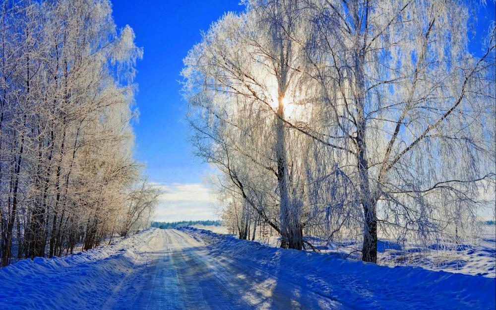 冬季唯美雪景风景壁纸