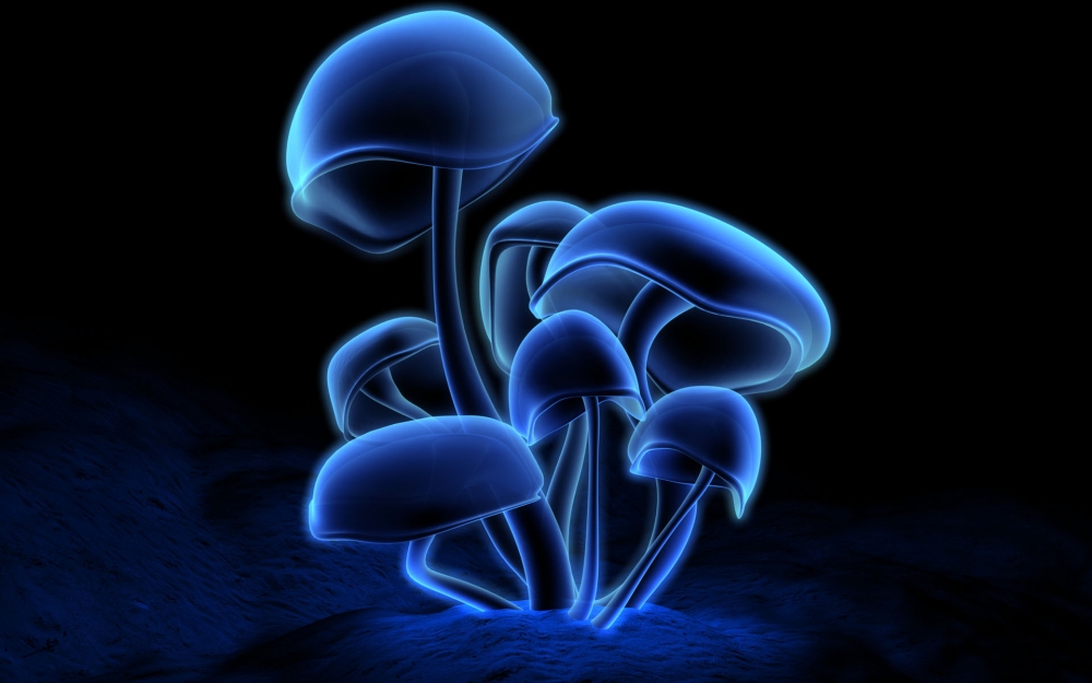 Digital三维 第一辑