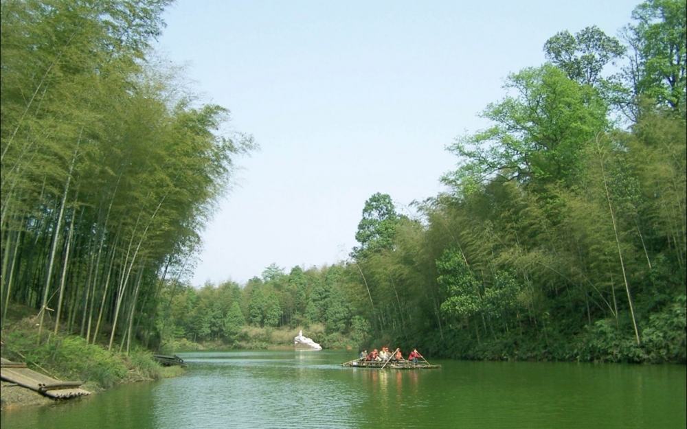 风景竹 竹林图片美丽风景电脑壁纸