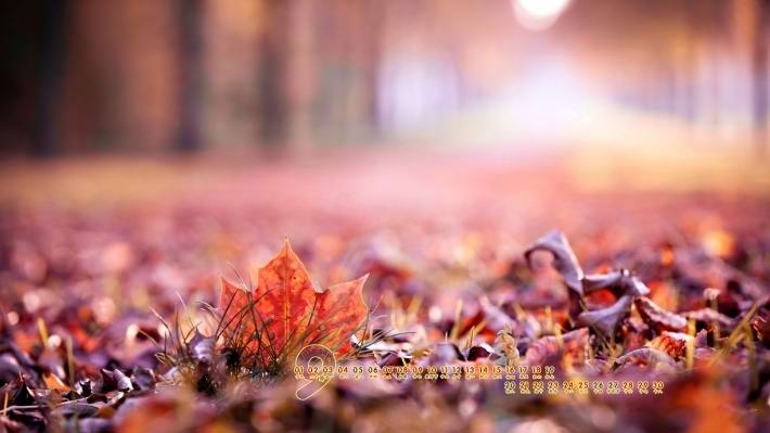 秋天风景2015年9月日历壁纸