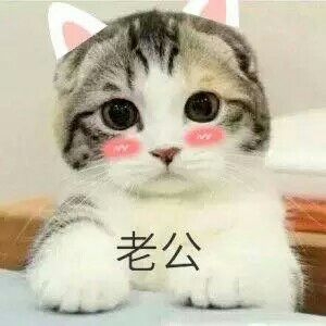 ：天王盖地虎。