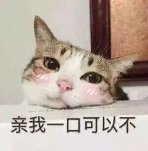 ：天王盖地虎。