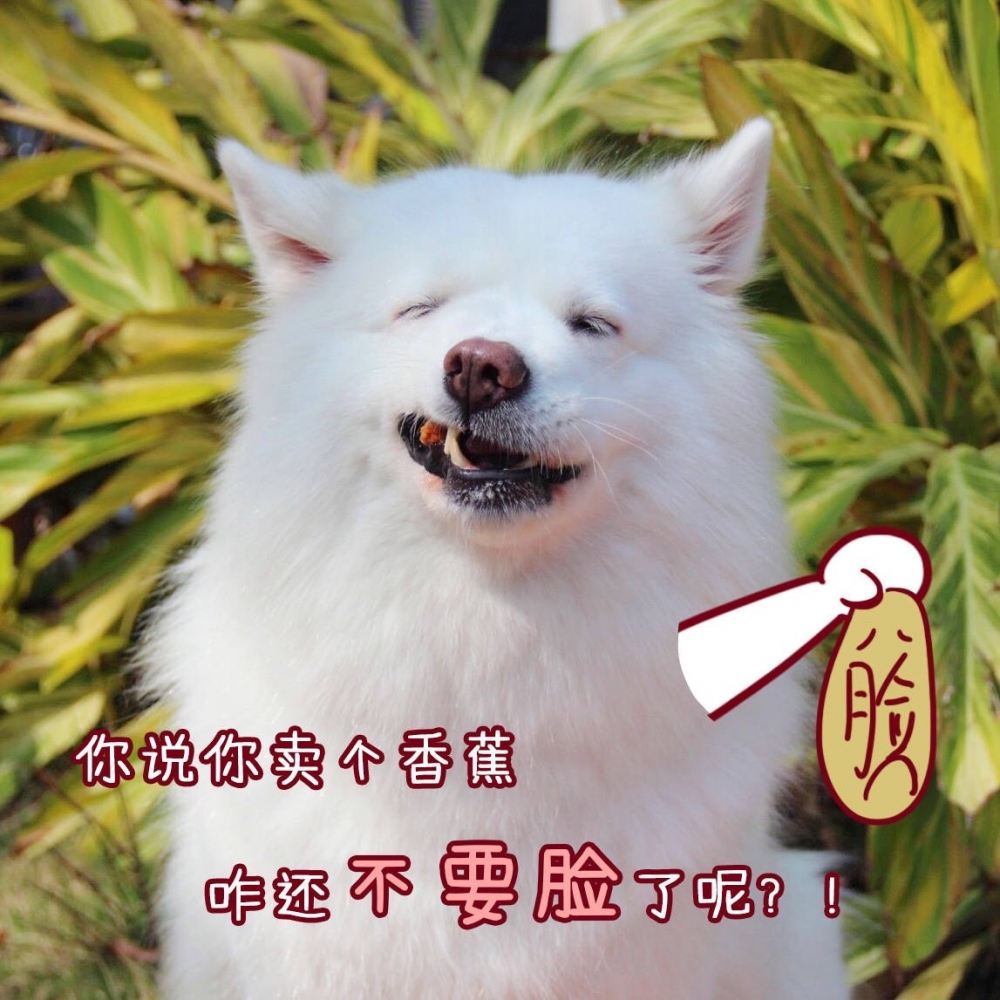 关于仲裁这场闹剧，想说的都在表情包里……