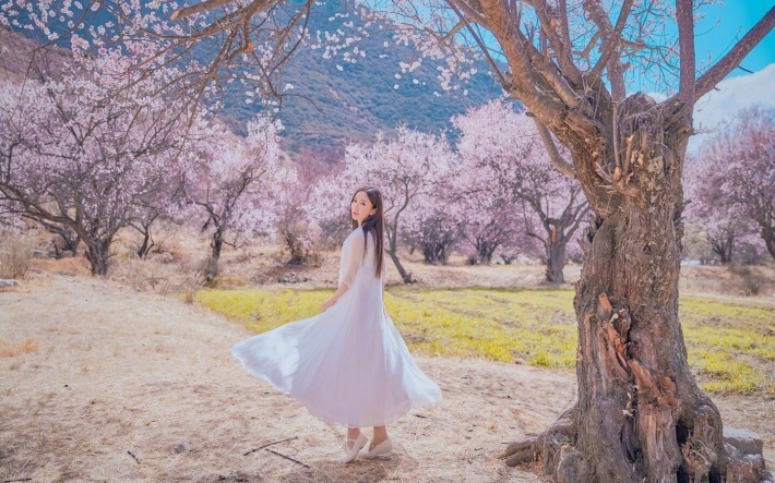 女神娄艺潇桃花树下唯美写真壁纸图片