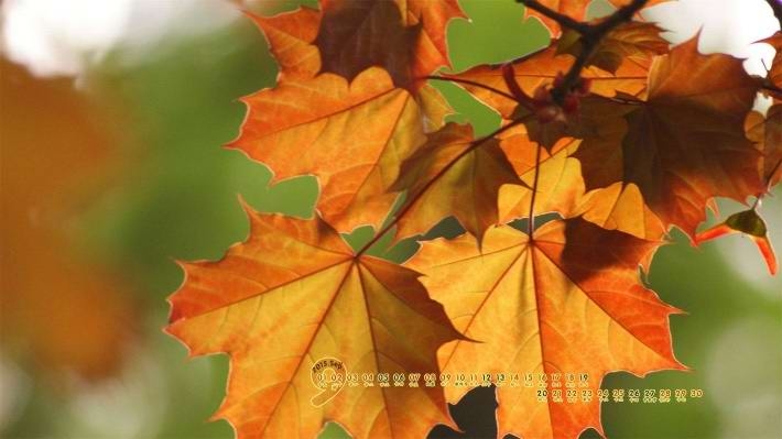 秋天风景2015年9月日历壁纸