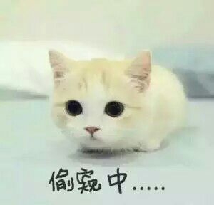 ：天王盖地虎。