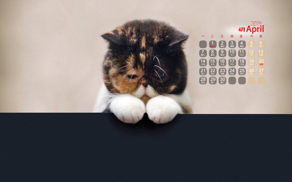 2014年4月日历可爱猫咪高清壁纸