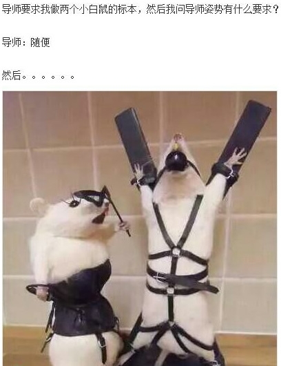 做两个小白鼠的标本