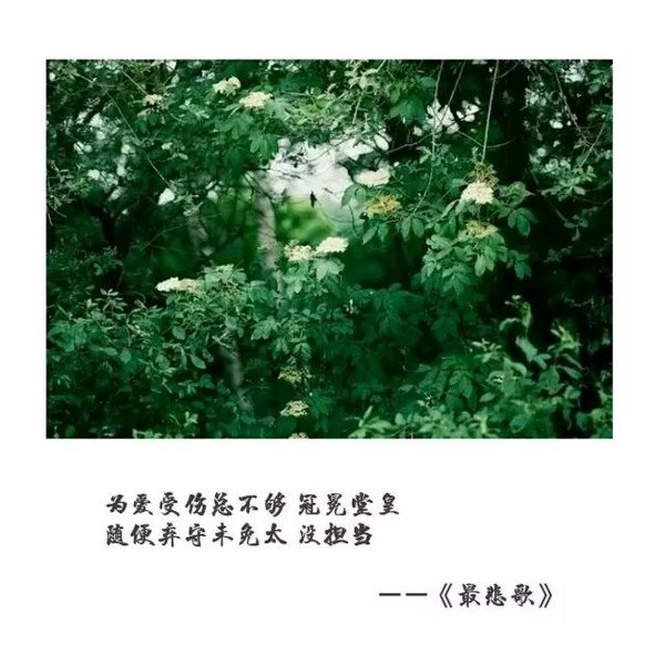 能遇见就是缘，哪怕就匆匆一眼