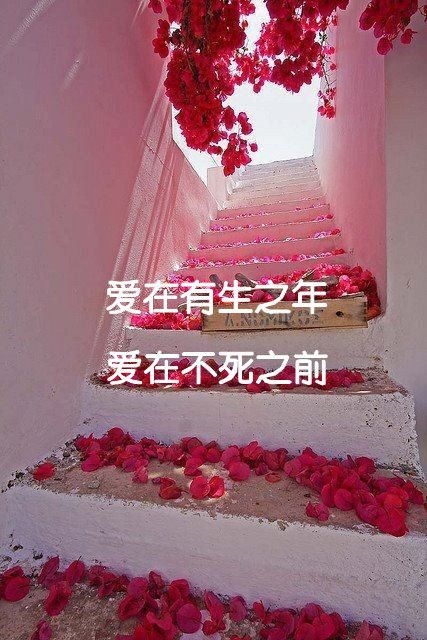 用心玩了场爱情游戏