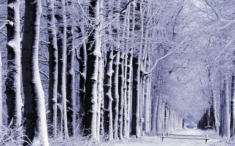 宽屏雪景 第一辑