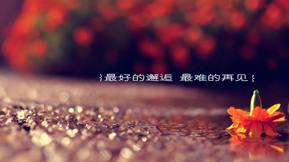 浪漫爱情箴言高清桌面壁纸