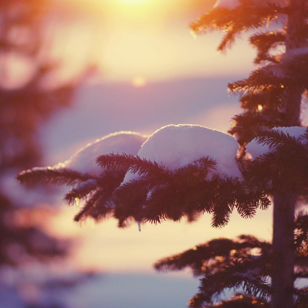 冬季雪景电脑壁纸高清