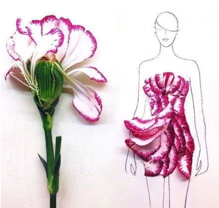 花瓣婚纱也美丽