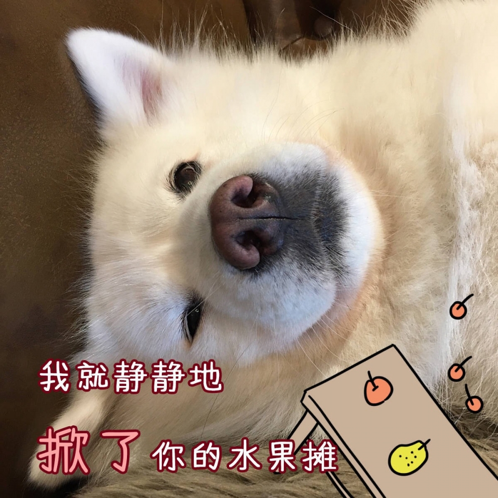 关于仲裁这场闹剧，想说的都在表情包里……