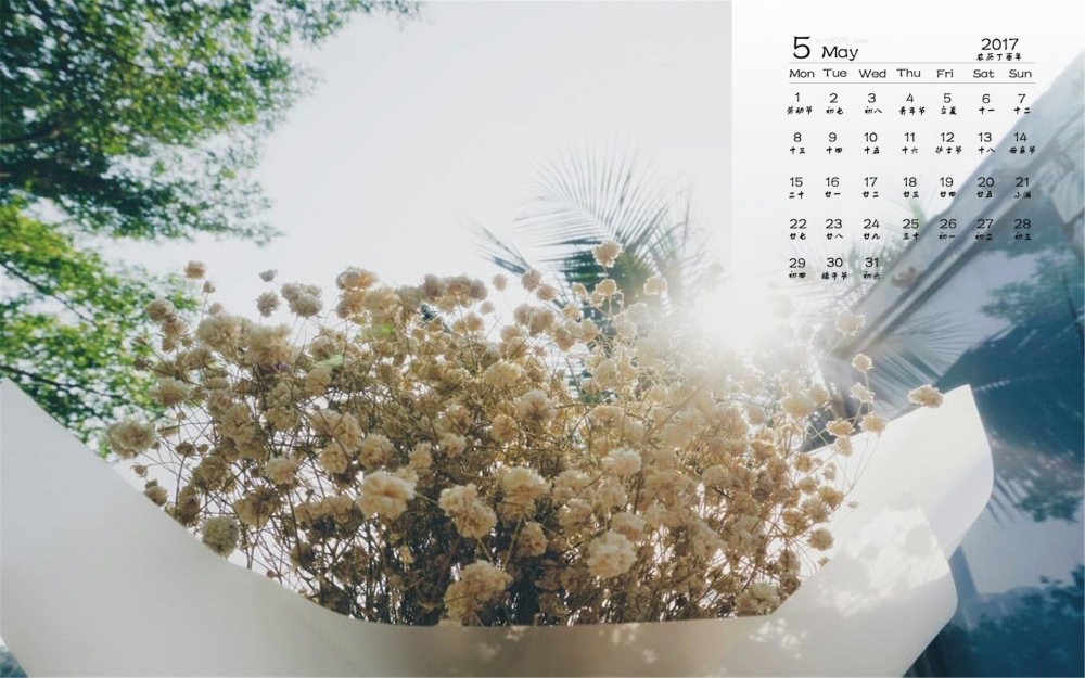 2017年5月唯美满天星桌面日历壁纸