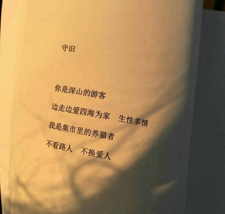 相逢太短不必等茶水凉