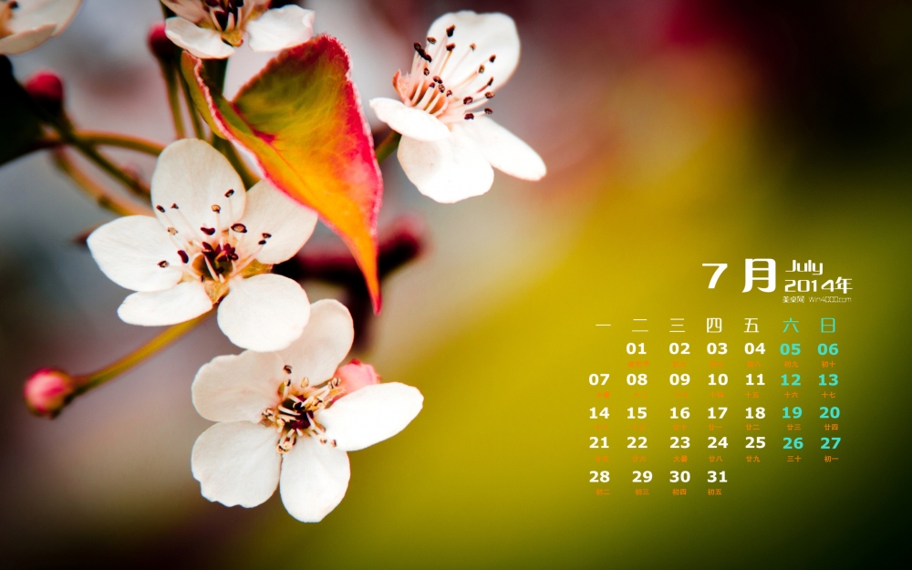 2014年7月日历壁纸好看的花草植物唯美清新图片下载