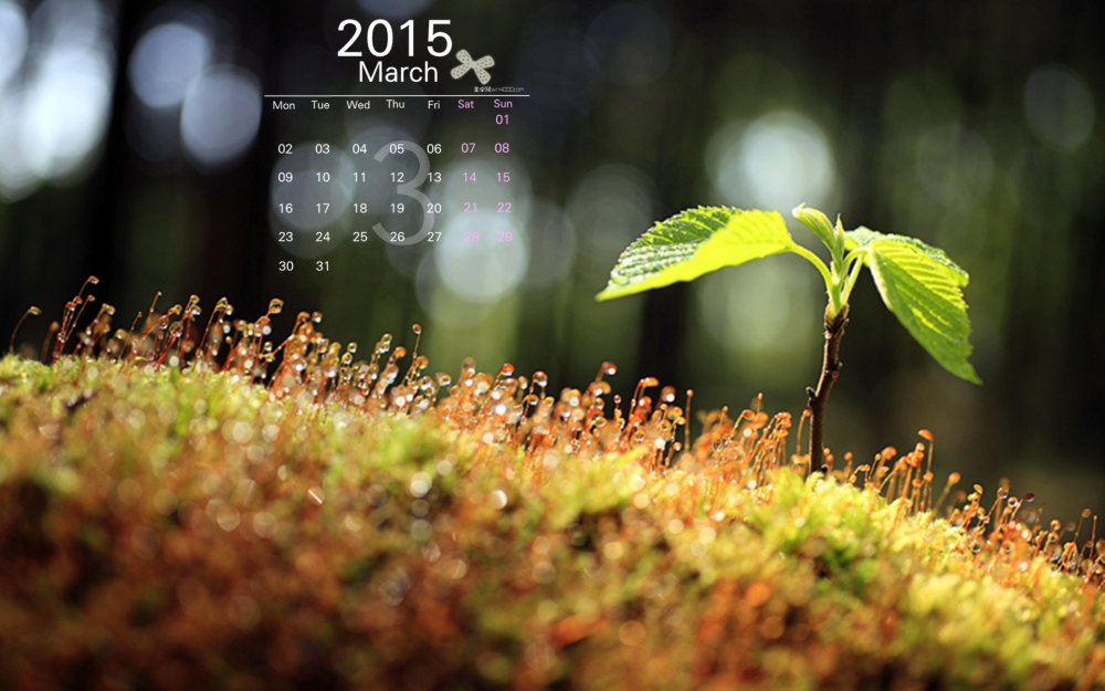 2015年3月日历象征着春天到来的绿色嫩芽创意壁纸高清桌面图片