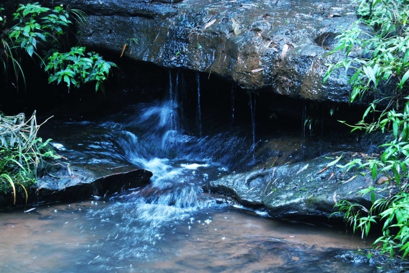 风景竹 竹林图片美丽风景电脑壁纸