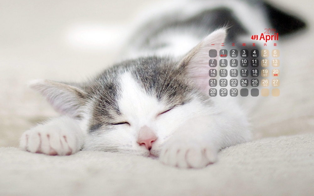 2014年4月日历可爱猫咪高清壁纸