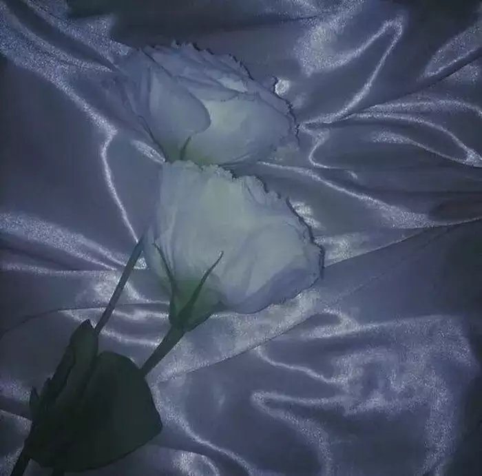 就当风没吹过，你没来过。