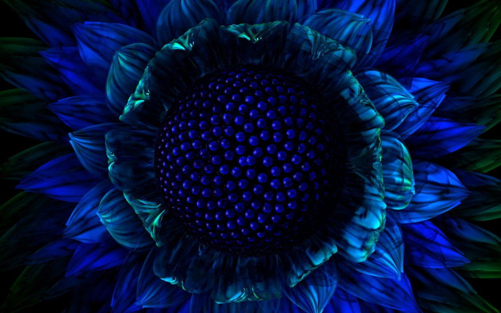 Digital三维 第一辑