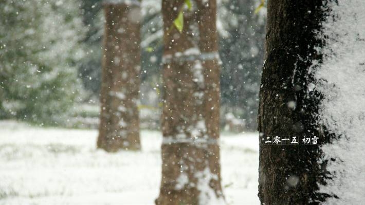 2015杭州西湖初雪摄影电脑壁纸