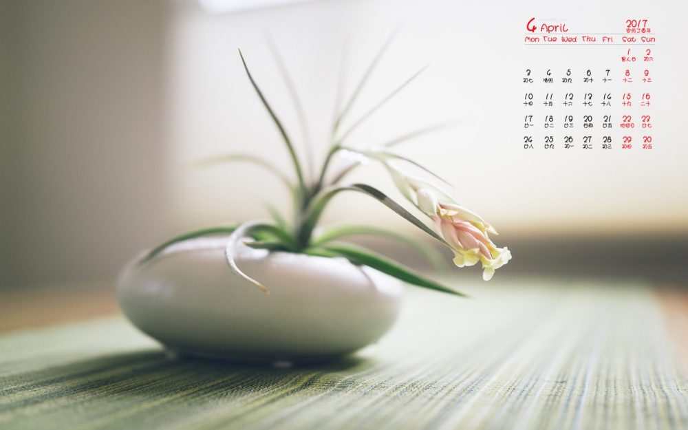 2017年4月小清新静物植物日历壁纸