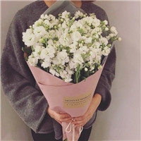 唯美森系女生鲜花头像